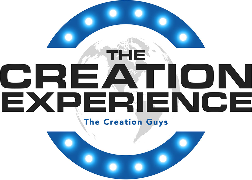 Creation Experience